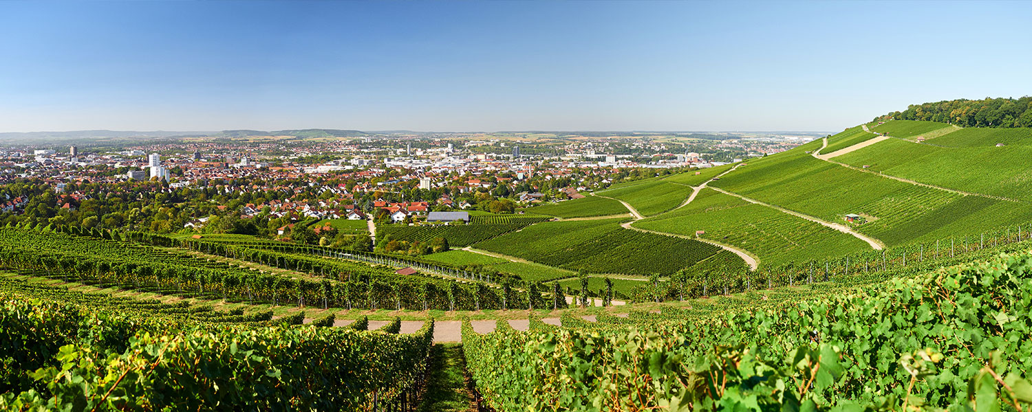 Lang & Hink Leistungen