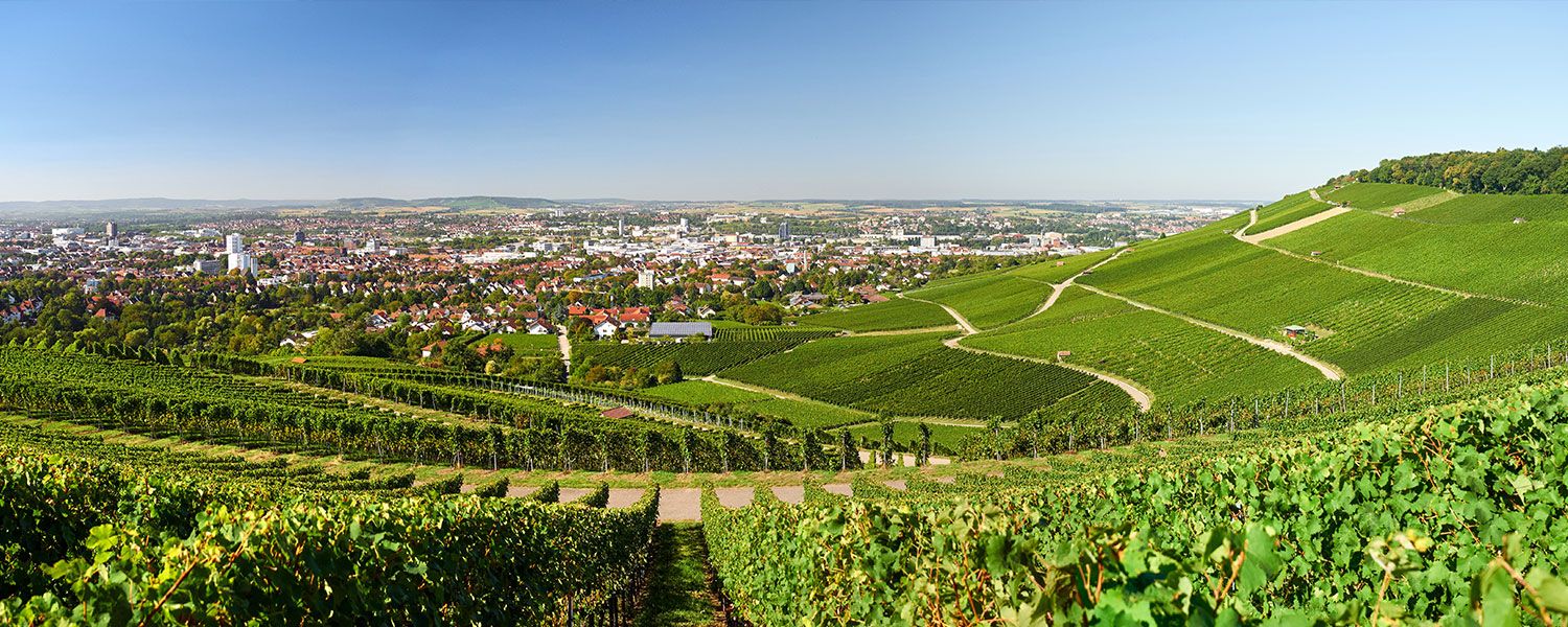 Lang & Hink Leistungen