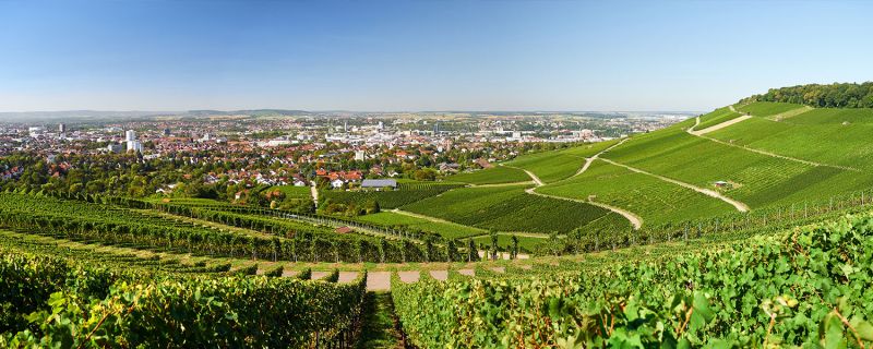 Lang & Hink Leistungen
